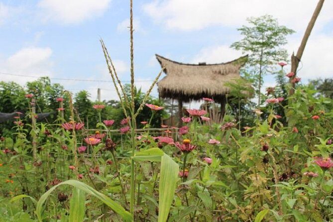 Balinese Cooking Class at Organic Farm - The Sum Up