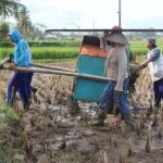 Balinese cooking school (9 Dish Cooking and Market Tour) - What Makes the Experience Truly Valuable