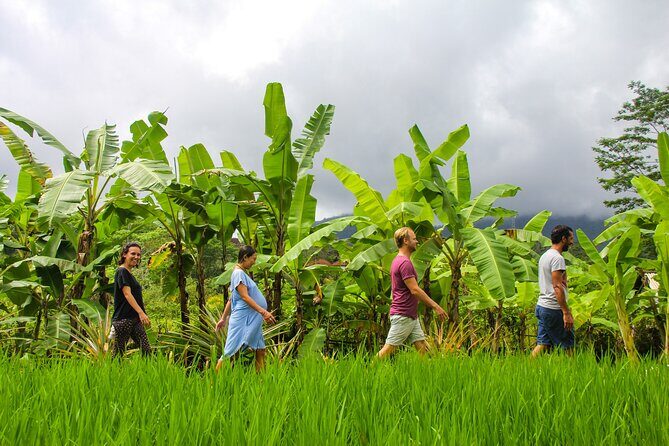 Balinese Vegan Cooking Class with Fresh Harvesting & Garden Tour - The Food: Vegan Balinese Flavors Elevated