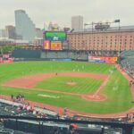 Baltimore Orioles Baseball Game Ticket at Oriole Park - Final Thoughts: The Value of a Baltimore Orioles Game Ticket