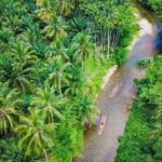 Bamboo Rafting and Sea Turtle Conservation Center Half Day Tour From Khao Lak - Who is This Tour Best Suited For?