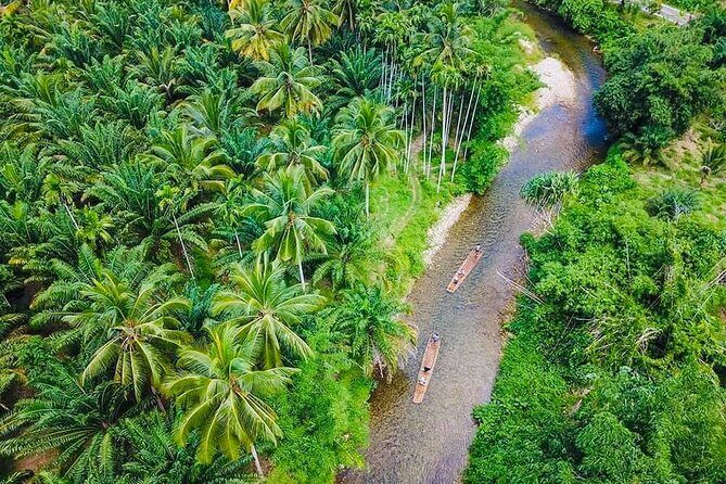 Bamboo Rafting and Sea Turtle Conservation Center Half Day Tour From Khao Lak - Who is This Tour Best Suited For?