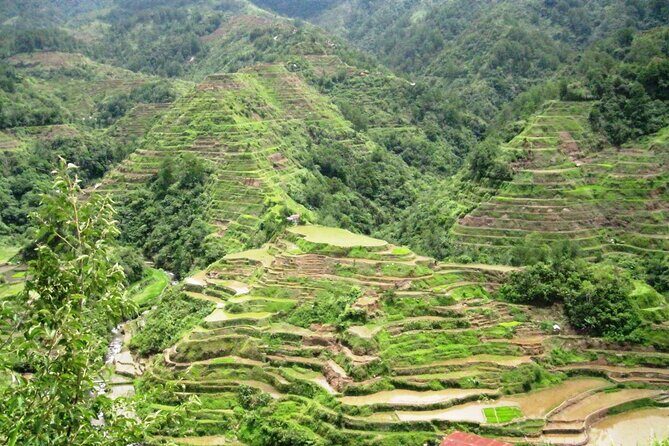Banaue-Hapao Rice Terraces (Car Rental W/ Manila Tourist Driver) - Who Will Love This Tour?