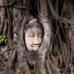 Bangkok and Ayutthaya Highlights with Thai simple Lunch (2 days) - Practical Details and Value