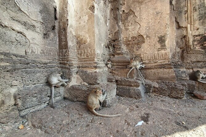 Bangkok to Ayutthaya Lopburi Monkey Temple, Largest Buddha Tour - Frequently Asked Questions