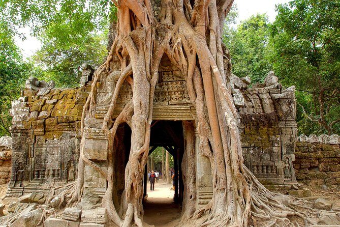 Banteay Srei & Angkor Big Circuit Tour - What Does the Tour Offer Beyond Sightseeing?