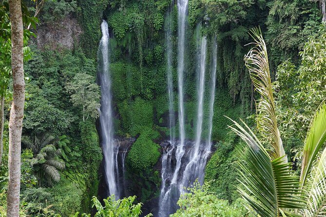 Banyuwana & Banyumala Waterfalls Tour (Private & All-Inclusive ) - Why This Tour Works Well