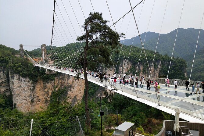 Baofeng Lake,Zhangjiajie Glass Bridge & Grand Canyon day tour - The Guides and Service