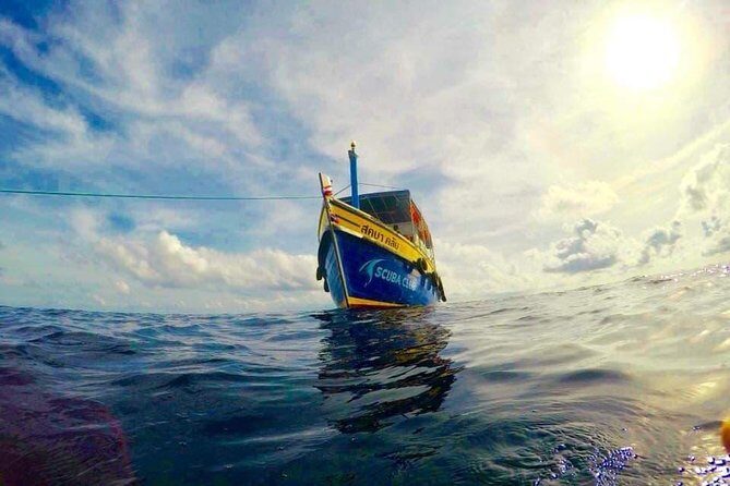 Basic Diver ( One Day Experience) - The Logistics & Practicalities