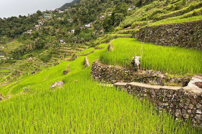 Batad Guided Tour - The Guides: Knowledge, Friendliness, and Flexibility