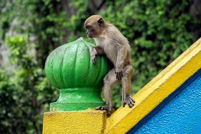 Batu Caves and Watching Fireflies in Kuala Selangor - Final Thoughts