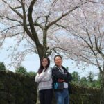 Beautiful Jeju Island Private UNESCO day Tour - Woljeongri Beach: Serenity and Scenic Coastlines