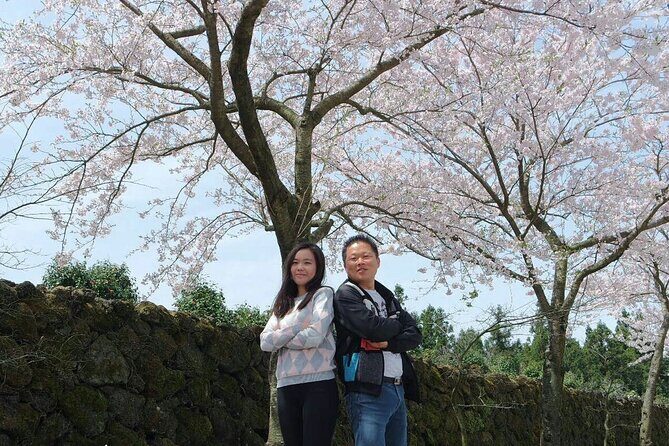 Beautiful Jeju Island Private UNESCO day Tour - Woljeongri Beach: Serenity and Scenic Coastlines