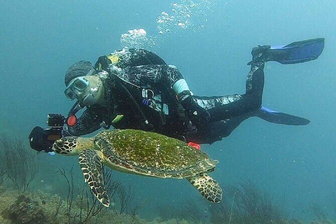 Become certified diver in 3 days - PADI Open Water Diver course on Koh Tao - Reviews and Authentic Insights