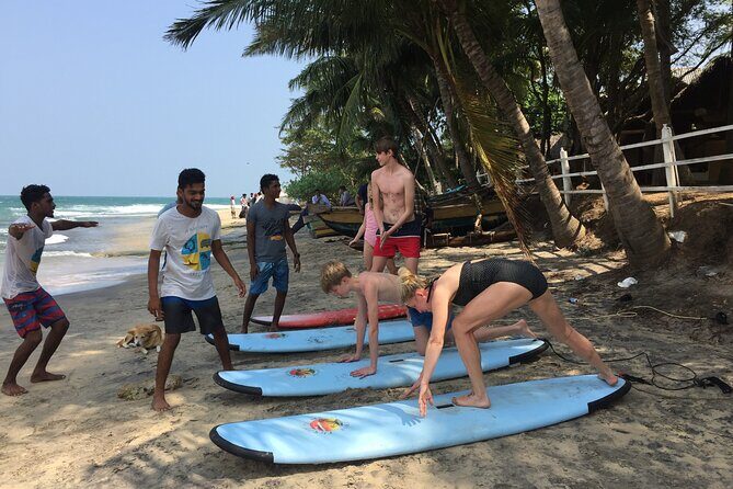 Beginner Surf Lesson in Arugam Bay - The Sum Up
