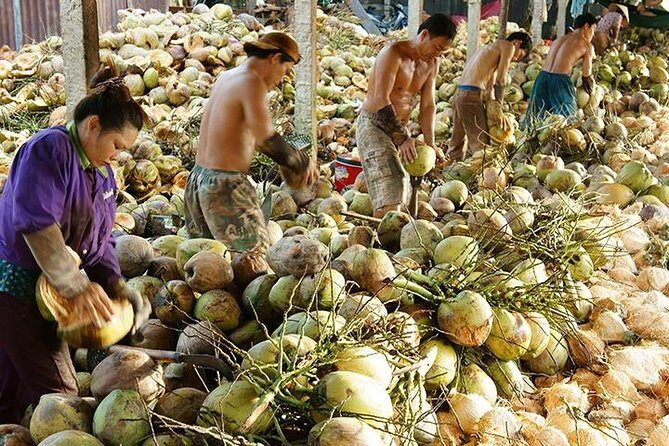 Ben Tre Day Trip From Ho Chi Minh City - What to Expect on the Tour