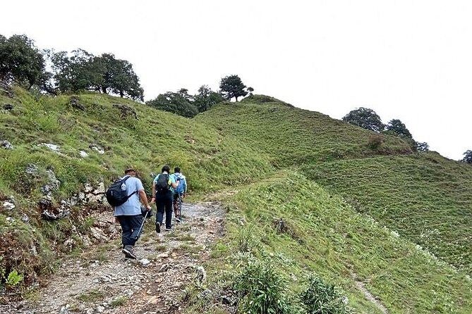 Benog Tibba Nature Trail - Practical Details and What to Expect