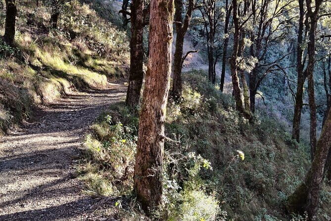 Benog Trek into the Wild - Why This Trek is Worth Considering