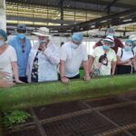 Bentota Village Tour with River Safari & Tea Plantation/Factory - All Inclusive - Practical Considerations and What You’ll Love