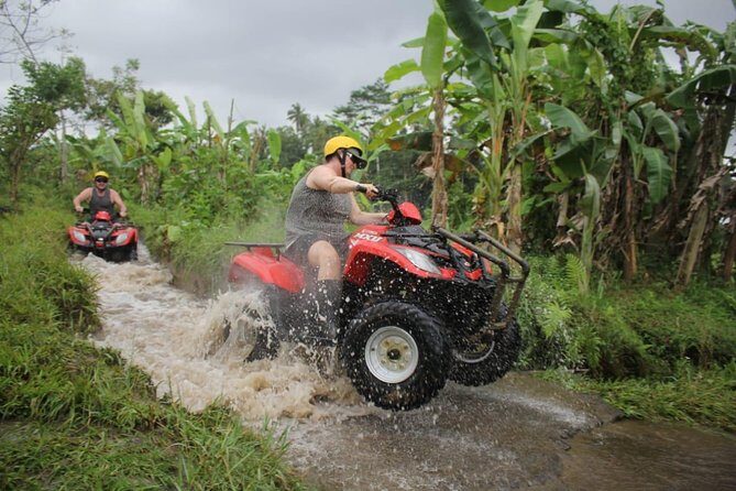 BEST ATV RIDE and Ubud Cultural Tours - The Real-Life Experience: What Travelers Say