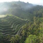 Best Bali Private Full Day Tour to Visit Ubud Village - Kintamani Batur Volcano - Practical Tips to Maximize Your Day