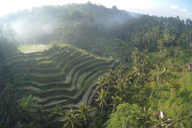 Best Bali Private Full Day Tour to Visit Ubud Village - Kintamani Batur Volcano - Practical Tips to Maximize Your Day