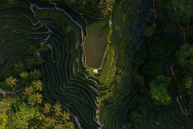 Best Day Tour - #3 World Cleanest Traditional Village - Tegenungan Waterfall: Nature’s Refreshing Welcome