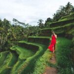Best Day Trip in Bali - Who Is This Tour Best For?