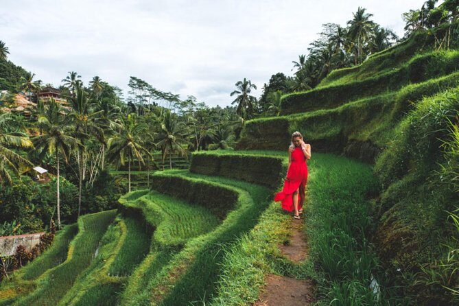 Best Day Trip in Bali - Who Is This Tour Best For?