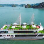 Best Halong Bay Tour One Day On Luxury Cruise 6 Hours Cruising - Why This Tour Stands Out