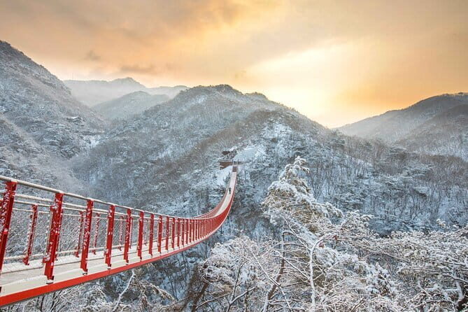 Best Korea DMZ Private Tour from Seoul (and Suspension Bridge) - Why this Tour Offers Great Value