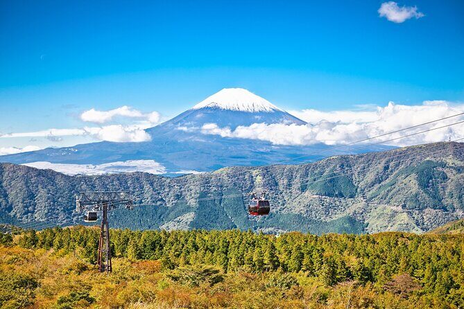 Best Mt Fuji and Hakone Full-Day Bus Tour from Tokyo - What Makes This Tour Stand Out