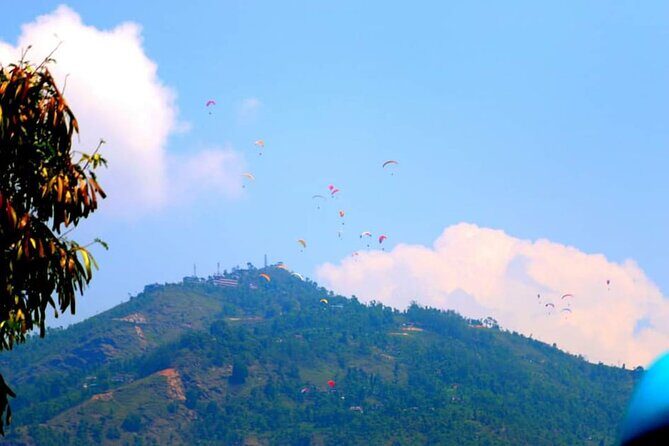 Best Nepal Tour: Kathmandu Pokhara Chitwan Tour - Day 2 & 3: Wildlife and Adventure in Chitwan National Park