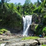 Best of Bali Tour - All Inclusive - Who Should Consider This Tour?