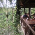 Best of Bali : Ubud, Rice terrace, Tanah lot temple with Lunch - The Experience from Reviews: What Travelers Say