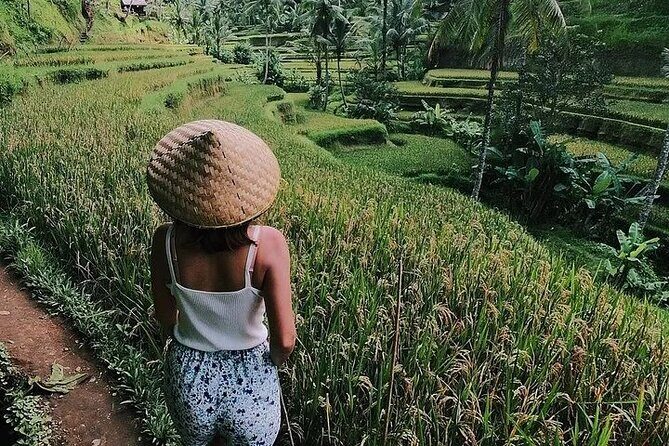 Best of Bali - Ubud Tour All-Inclusive Private Tour - What Does the Tour Include?
