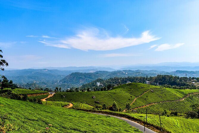 Best of Kerala Tour (Exclusive Private tour) - Who Would Love This Tour?