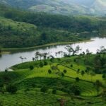 Best of Kerala Tour Package 7 nights / 8 days by Sanguine Holidays - What Makes This Tour Stand Out