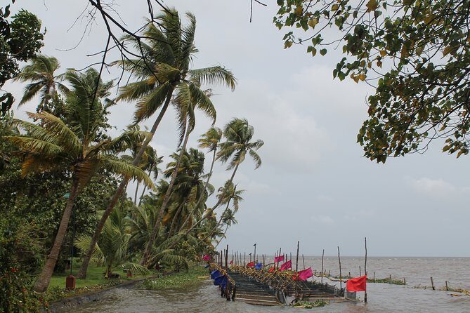 Best of Kerala - Authentic Experiences That Matter