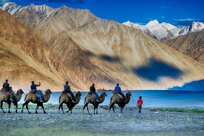 Best Of Ladakh - Transportation & Logistics: What It Means for You