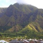 Best of Lombok: Native, Culture, Nature & Waterfall Day Trip - Price and Value Analysis