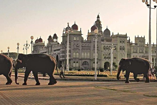 Best of Mysore/Mysuru, Somnathpur & Srirangapatna in a Day - Practical Aspects and Value