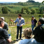 Best of Tuscany Private Tour: Siena, San Gimignano, Monteriggioni - What Makes This Tour Stand Out?