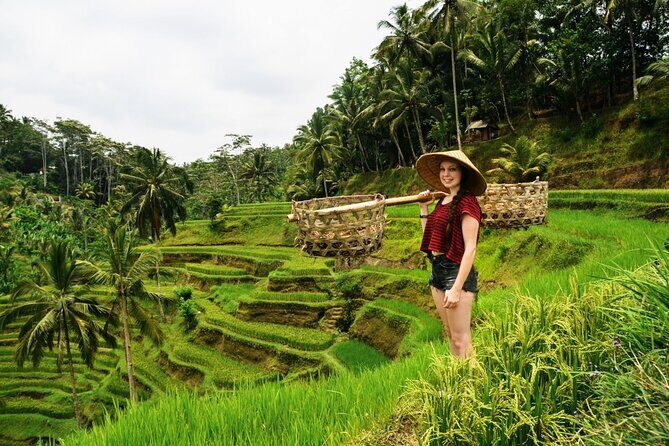 Best of Ubud 1-Day Private Tour - What’s Included & What’s Not