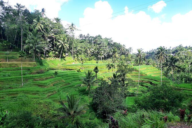 Best of Ubud - All Inclusive - How the Experience Comes Together