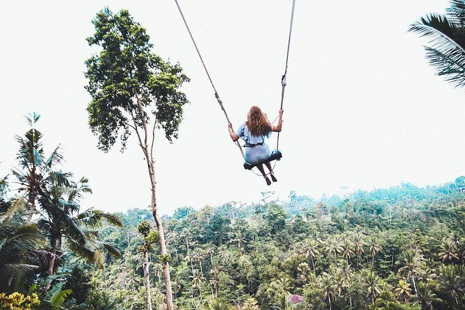 Best of Ubud Full-Day Tour with Jungle Swing - Transportation and Practicalities