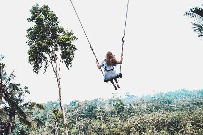Best of Ubud Private Tour with Jungle Swing Experience - Transportation and Guide