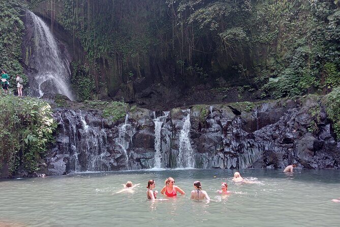 Best of Ubud Scenic Tamansari Waterfall Private Guided Tour - Authentic Insights from Reviewers