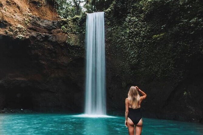 Best of Ubud Waterfalls, Tegalalang Rice Terrace and Swing Tour - Who This Tour Is Best For