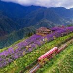 Best Sapa 3 Days 2 Nights with Fansipan Mountain - Stay at Hotel - Price & Overall Value